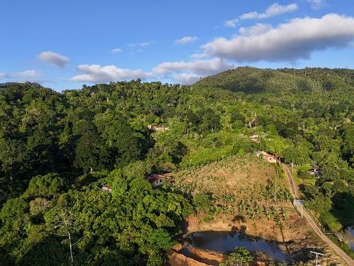 Área entre Gandu e Ibirapitanga pode receber projeto de ecoparque