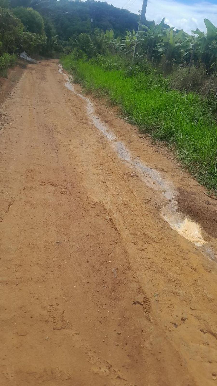 Wenceslau Guimarães: Moradores denunciam abandono de estradas na região de Chico Lopes e cobram providências da Prefeitura