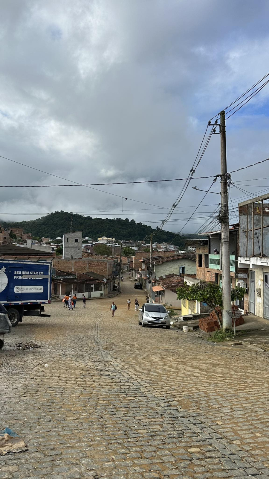 Novo edital destina R$ 19 milhões para plantio de árvores em áreas urbanas; cidades da região podem ser beneficiadas