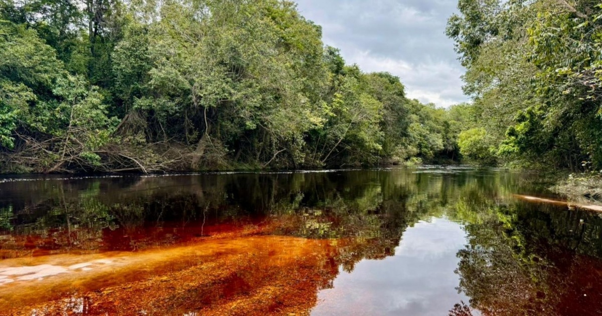 Consulta pública para unidade de conservação na Chapada Diamantina é aberta após ataques a ambientalistas
