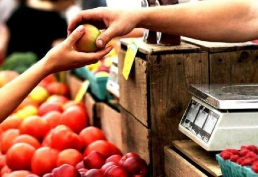 Feira Territorial movimenta Teolândia com foco na agricultura familiar 