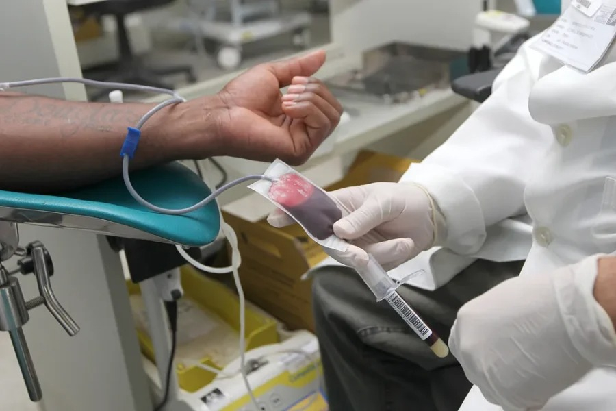 Quem doa sangue pode passar a ter duas folgas remuneradas por ano