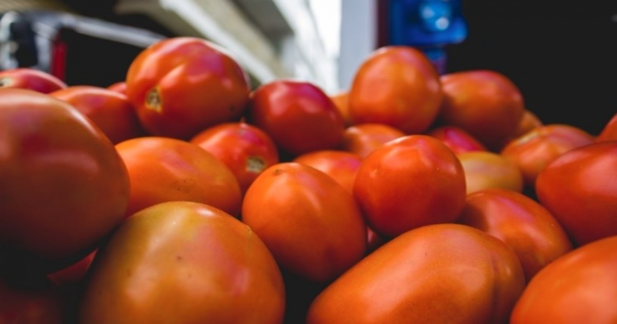 Tomate puxa queda de 3,22% na cesta básica de Camaçari, aponta pesquisa da Uneb