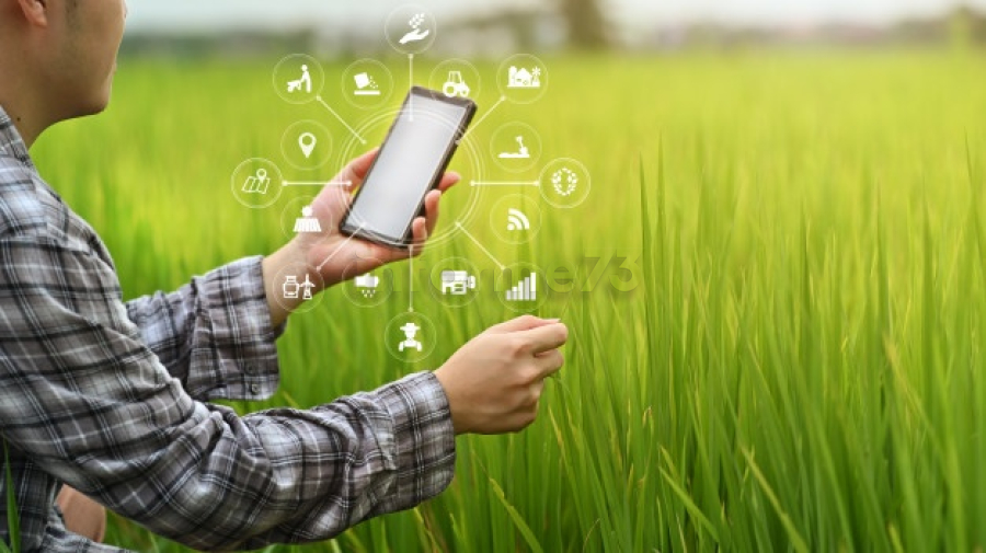 Você pode receber internet via satélite no celular em breve; entenda