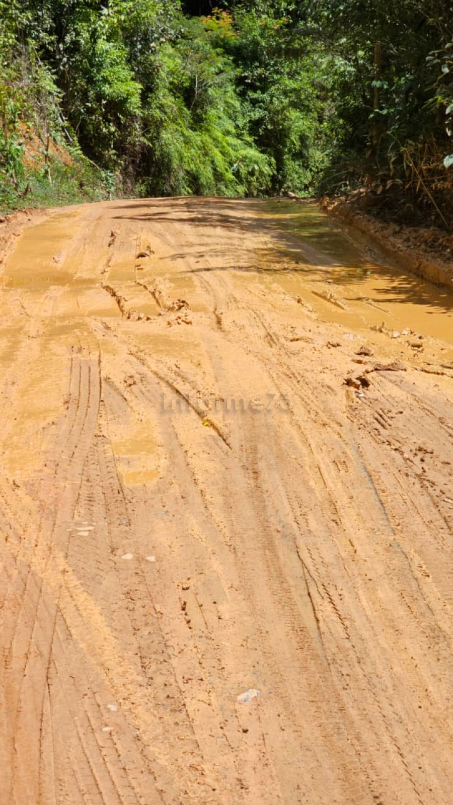BA-250 entre Ituberá e Piraí do Norte entra em licitação para pavimentação de 39,3 km