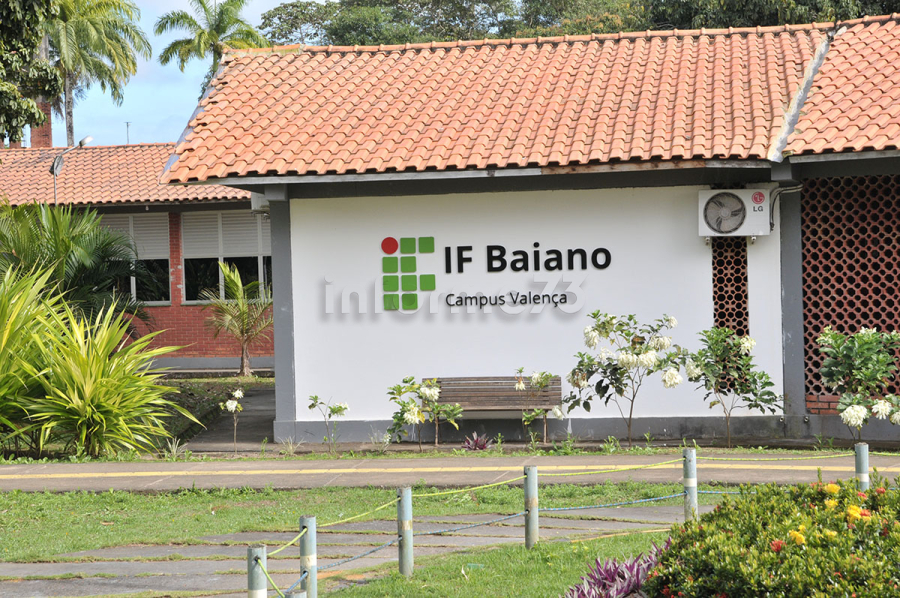 IF Baiano de Valença abre 180 vagas gratuitas para cursos técnicos; saiba como se inscrever
