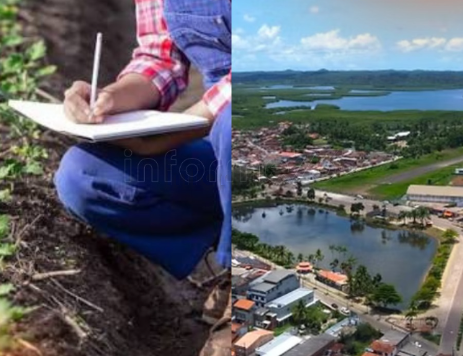 Senar abre inscrições para dois cursos voltados à área agrícola em Ituberá;saiba até quando participar
