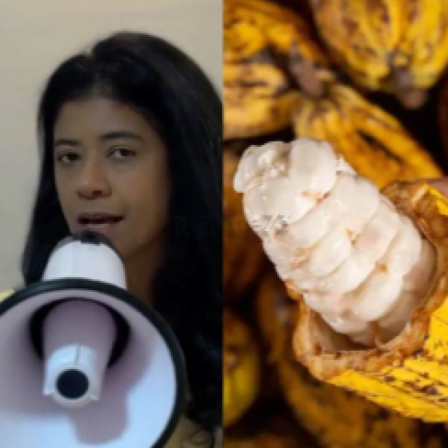 Presidente da Associação Nacional dos Produtores de Cacau questiona valor pago pela arroba