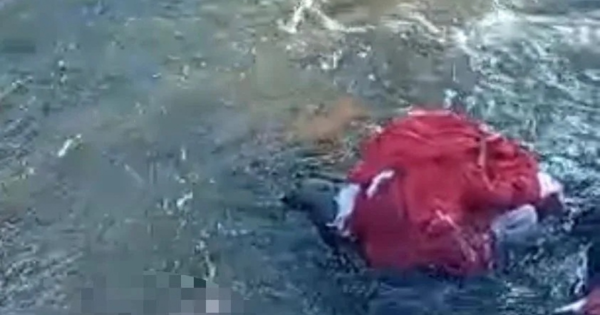 Homem morre no Baixo Sul baiano após ser atacado por abelhas
