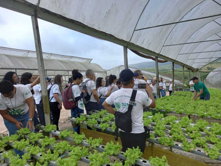 Cursos gratuitos do Senar têm inscrições abertas em Apuarema; veja como se inscrever