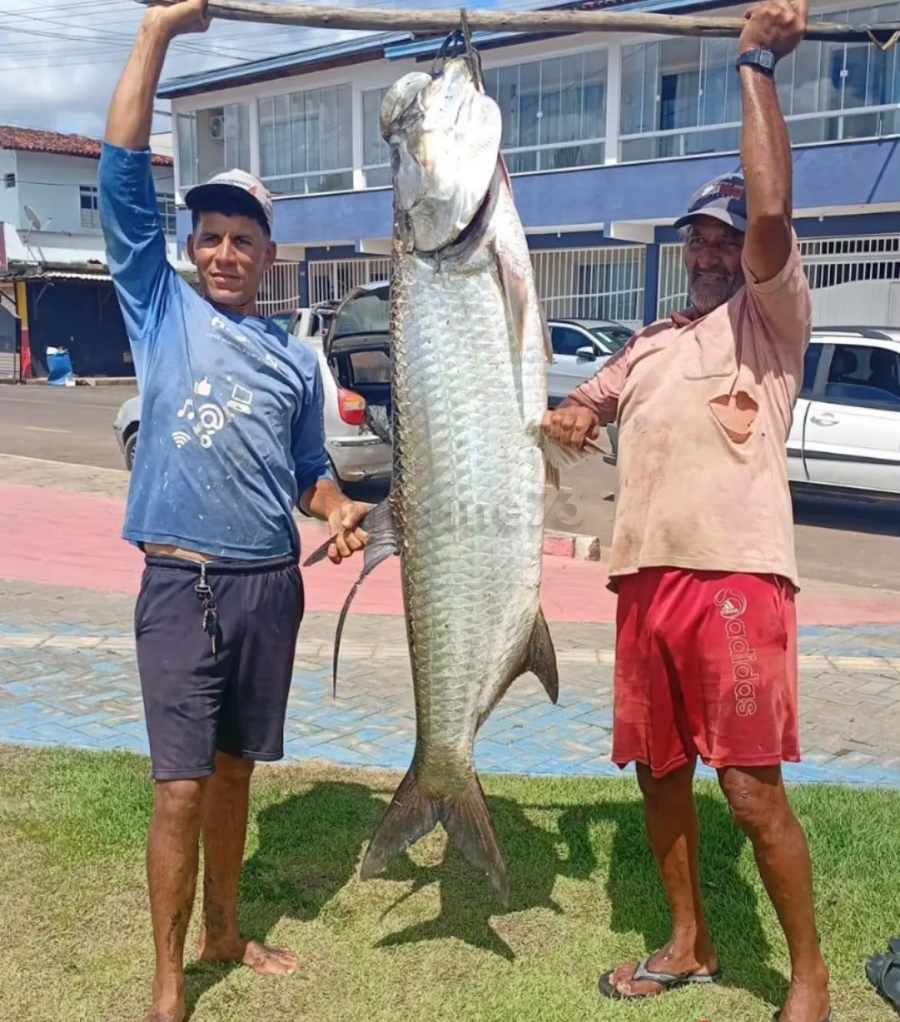 Captura de peixe de grande porte chama atenção nas redes sociais em Taperoá