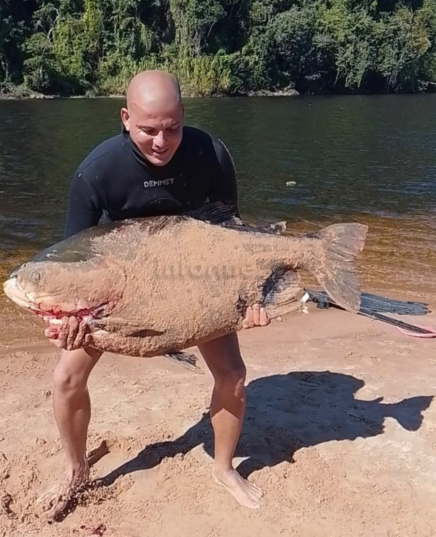 Pescador surpreende ao capturar tambaqui de 46 kg durante pescaria