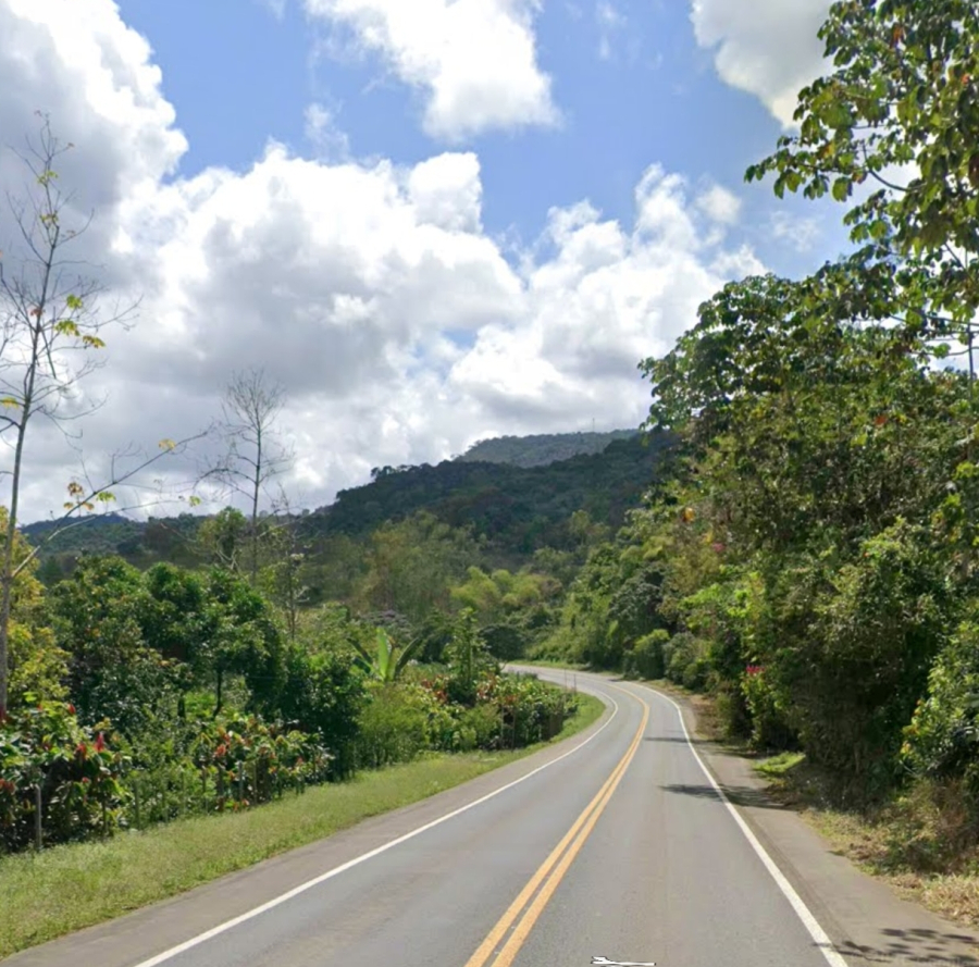 Caminhoneiros são alvos de assalto a tiros na BR-101 entre Gandu e Itamarati